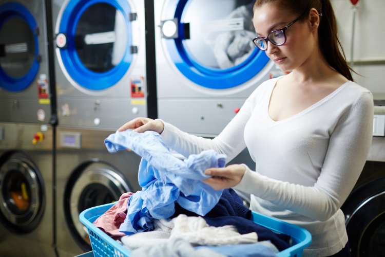 Best Laundry Services in Rotterdam