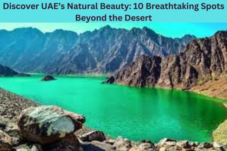 Discover UAE’s Natural Beauty: 10 Breathtaking Spots Beyond the Desert